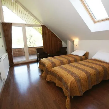 Avirio Vingis 4* Druskininkai