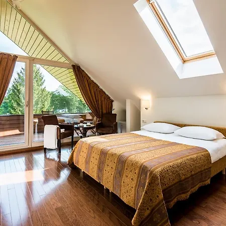 Avirio Vingis 4* Друскининкай