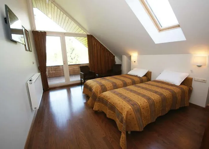 Avirio Vingis 4* Druskininkai